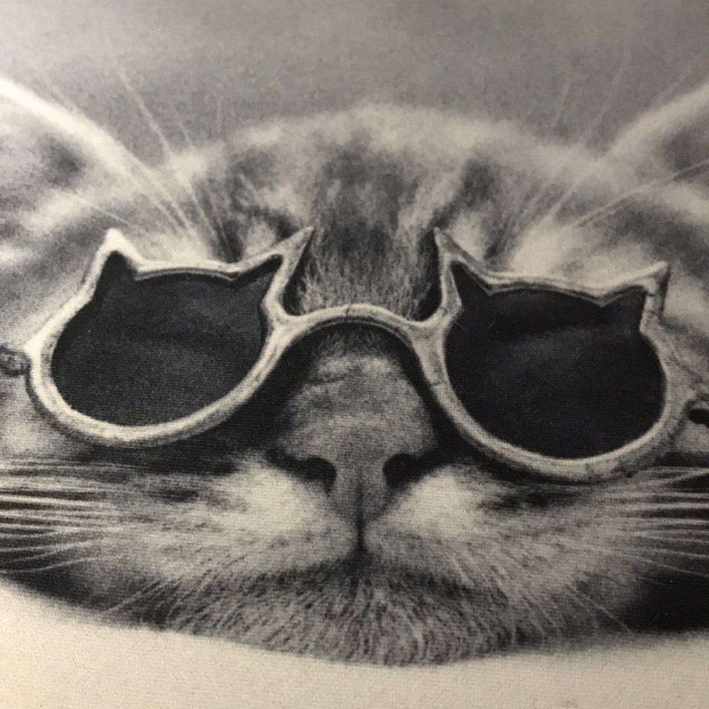 Meet your Posher, Nanette